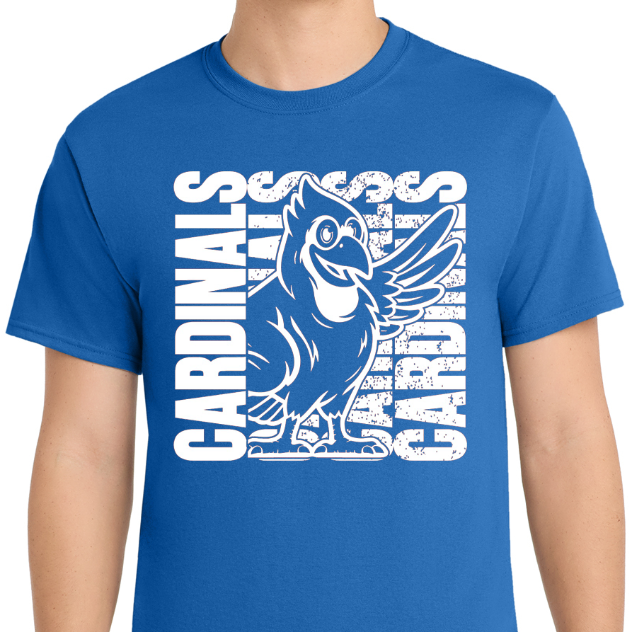 Trinity Lakes Elementary PTA Shirts
